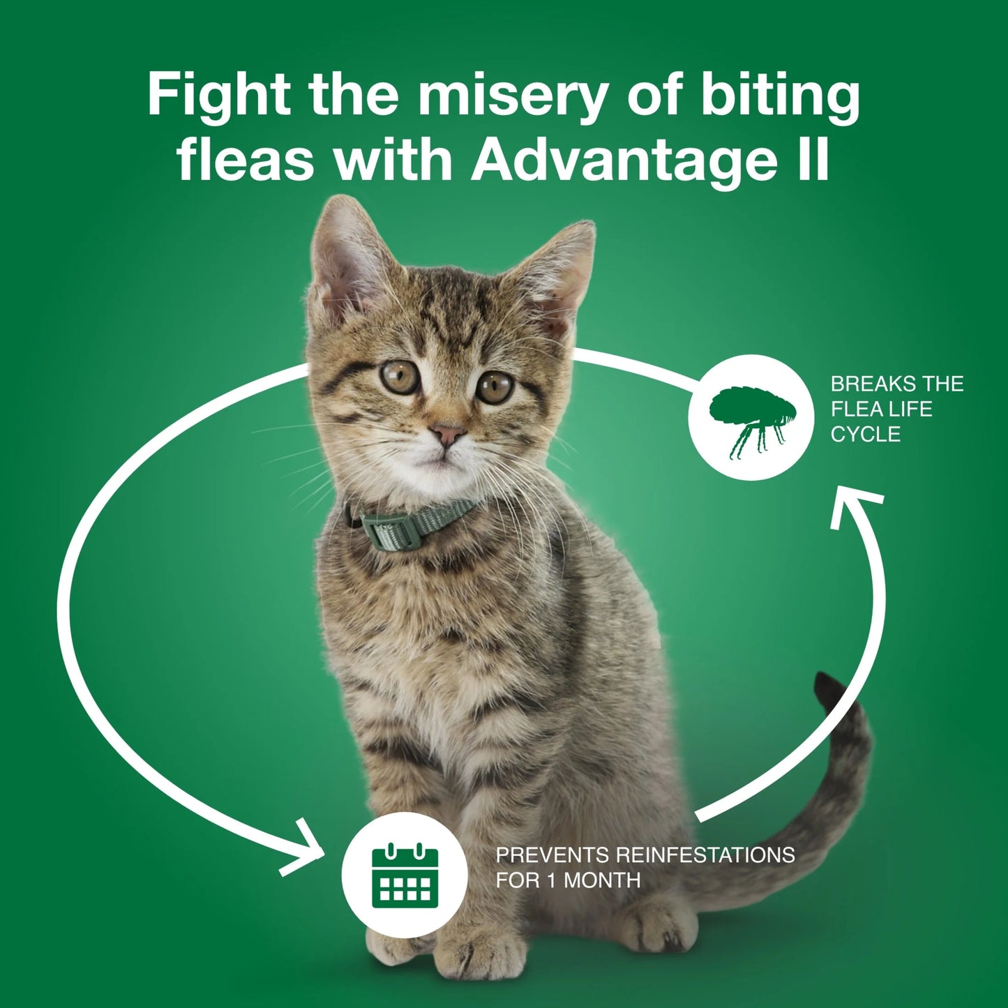 (2 Pack)  Vet-Recommended Flea Prevention for Small Cats 5-9 Lbs, 6-Monthly Treatments