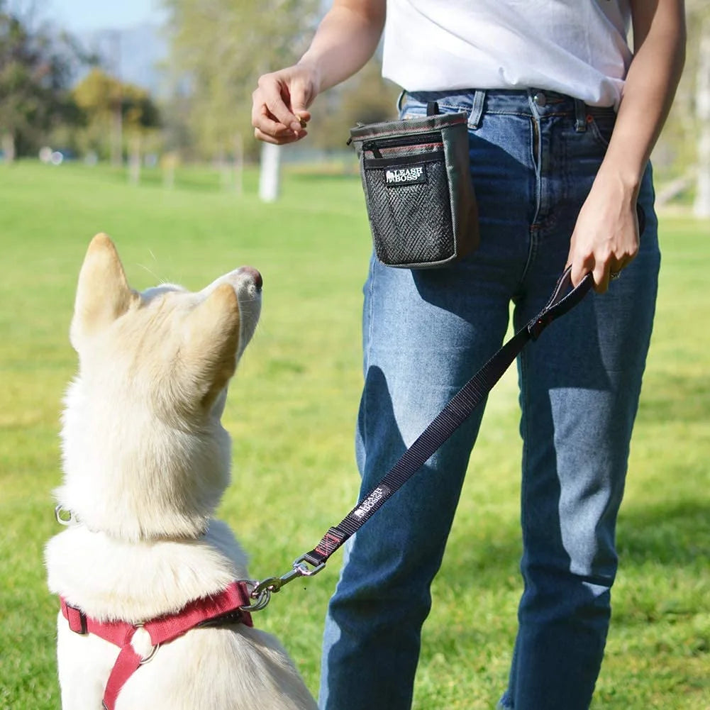 Short Dog Leash with Padded Handle - 24 Inch Leads for Large Dogs - 1 Inch Nylon | Black