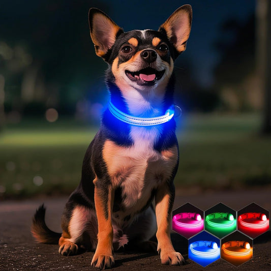 Light up Dog Collar - Rechargeable Puppy Collar Glow in the Dark LED Dog Collar Lights for Small Dogs & Cats (X-Small, Blue)