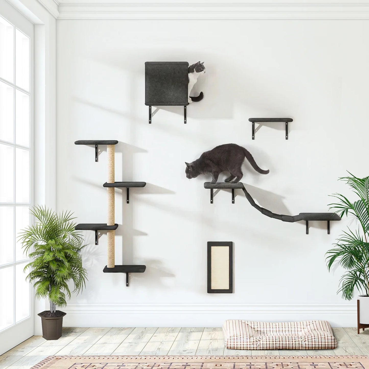 Cat Wall Shelves and Perches Set of 5, Indoor Cat Condo for Sleeping Playing Lounging Climbing Cat Tree House, Gray