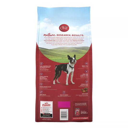 Purina ONE Smartblend Small Bites Beef & Rice Formula Adult Dry Dog Food