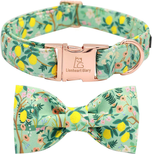 Premium Floral Dog Collars, Bowtie Dog Collar, Adjustable Heavy Duty Girl Dog Collar with Bow for Medium Dogs