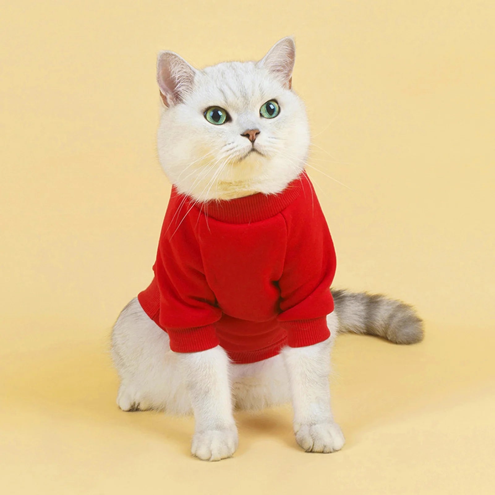 Dog Sweaters for Small Dogs, Cute Dog Clothes Classic Warm Pet Sweaters for Dogs Girls Boys, Cat Sweater Dog Sweatshirt Winter Coat Apparel for Small Dog Puppy Kitten Cat(Blue, XL)