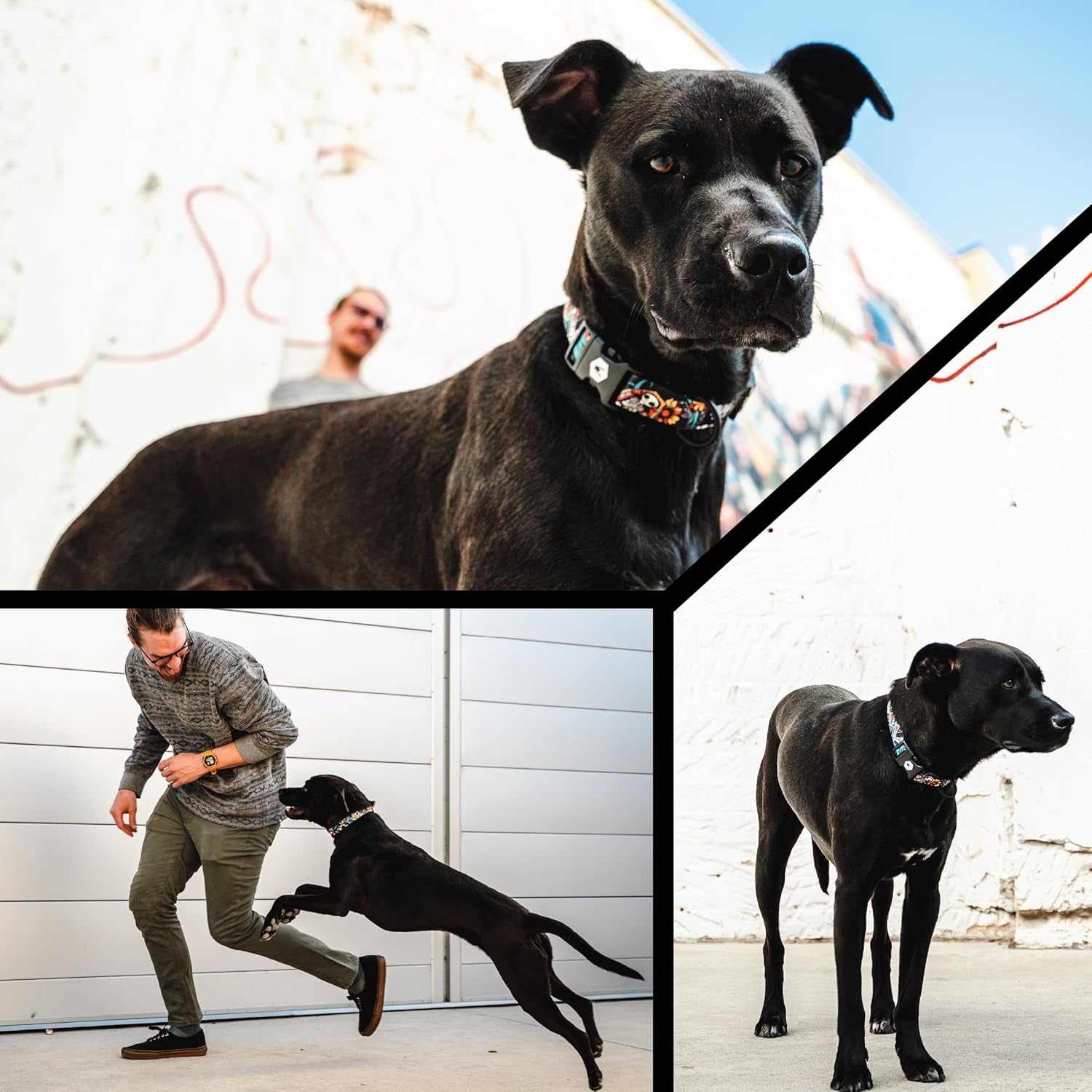 Wolfgang Heavy Duty Adjustable Dog Harness, Pull-Tested to over 800 Lbs for Walking & Training, Losmuertos Print, Large