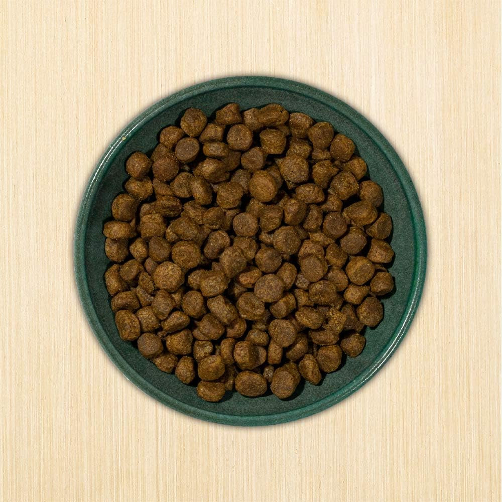 Grain-Free Re-Juvenate Senior Formula Dry Dog Food, (Fresh Silver Carp & Turkey), 12-Lb Bag