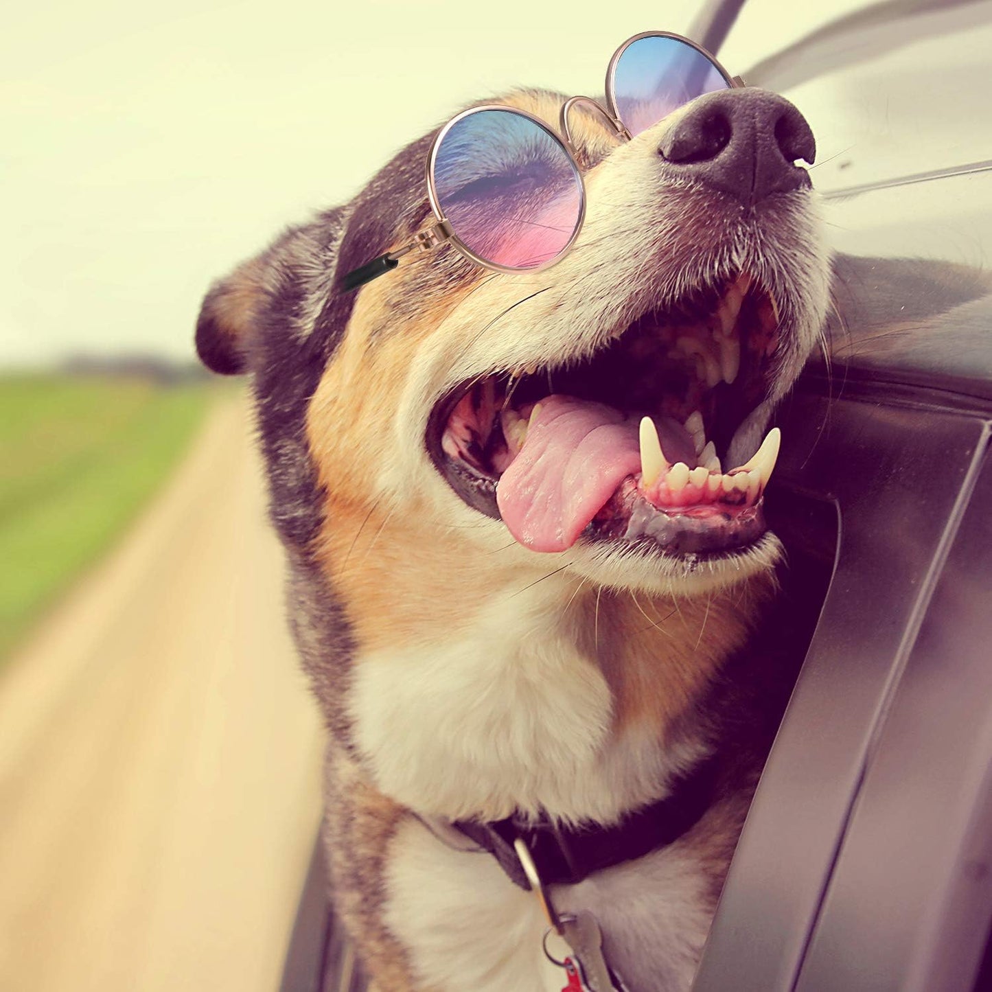 7 Pcs Dog Sunglasses Cats Sunglasses with 2 Gold Chain Retro round Metal Glasses Funny Cute Cosplay Costume for Small Pet(Vivid Colors,Lovely Style)