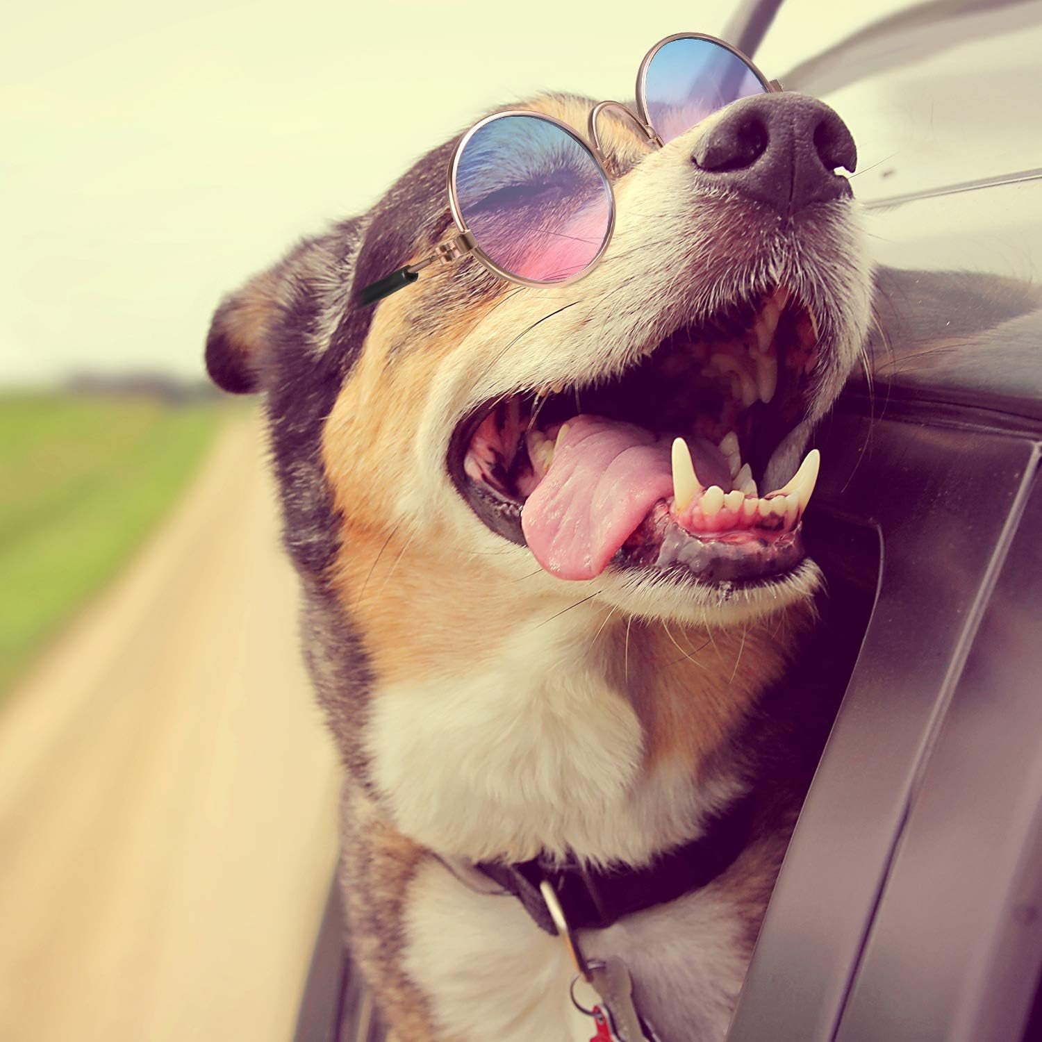 7 Pcs Dog Sunglasses Cats Sunglasses with 2 Gold Chain Retro round Metal Glasses Funny Cute Cosplay Costume for Small Pet(Vivid Colors,Lovely Style)
