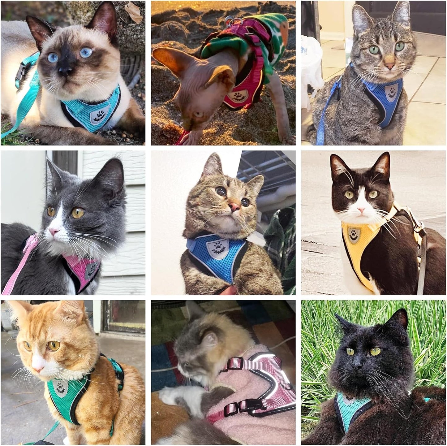 Cat Harness and Leash Set Escape Proof Reflective Cat Walking Harness Adjustable Soft Breathable Mesh Vest for Small Pets, Blue, M