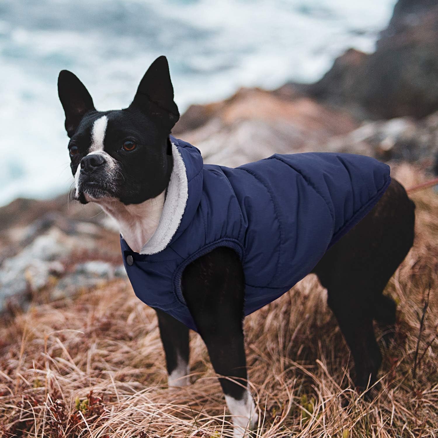 Fleece Hoodie, Windproof Waterproof Coat, Winter Warm Jacket, Cold Weather Pet Apparel Clothes Vest for Small Medium Large Dogs (M, Blue)