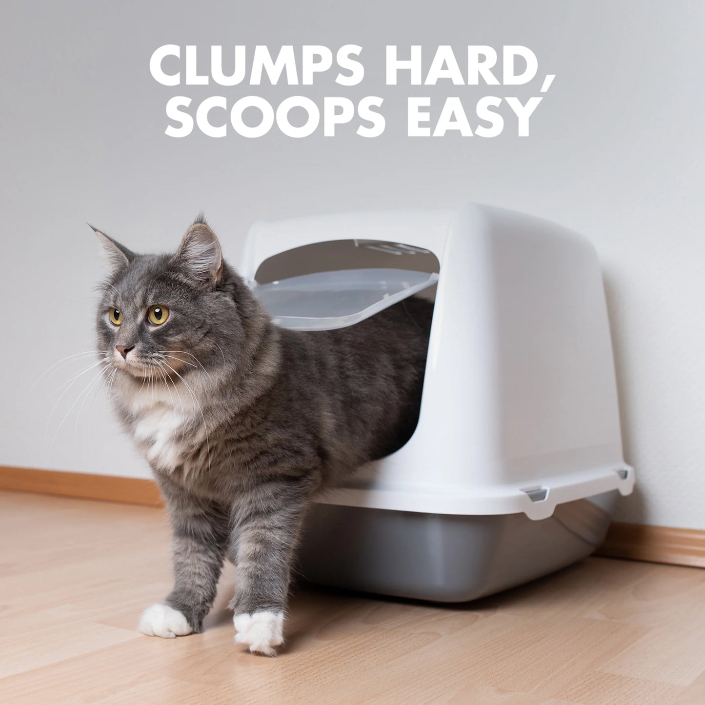 Naturals Clumping Cat Litter with Corn Fibers, Odor Control, Fresh Scent, 9 Lbs