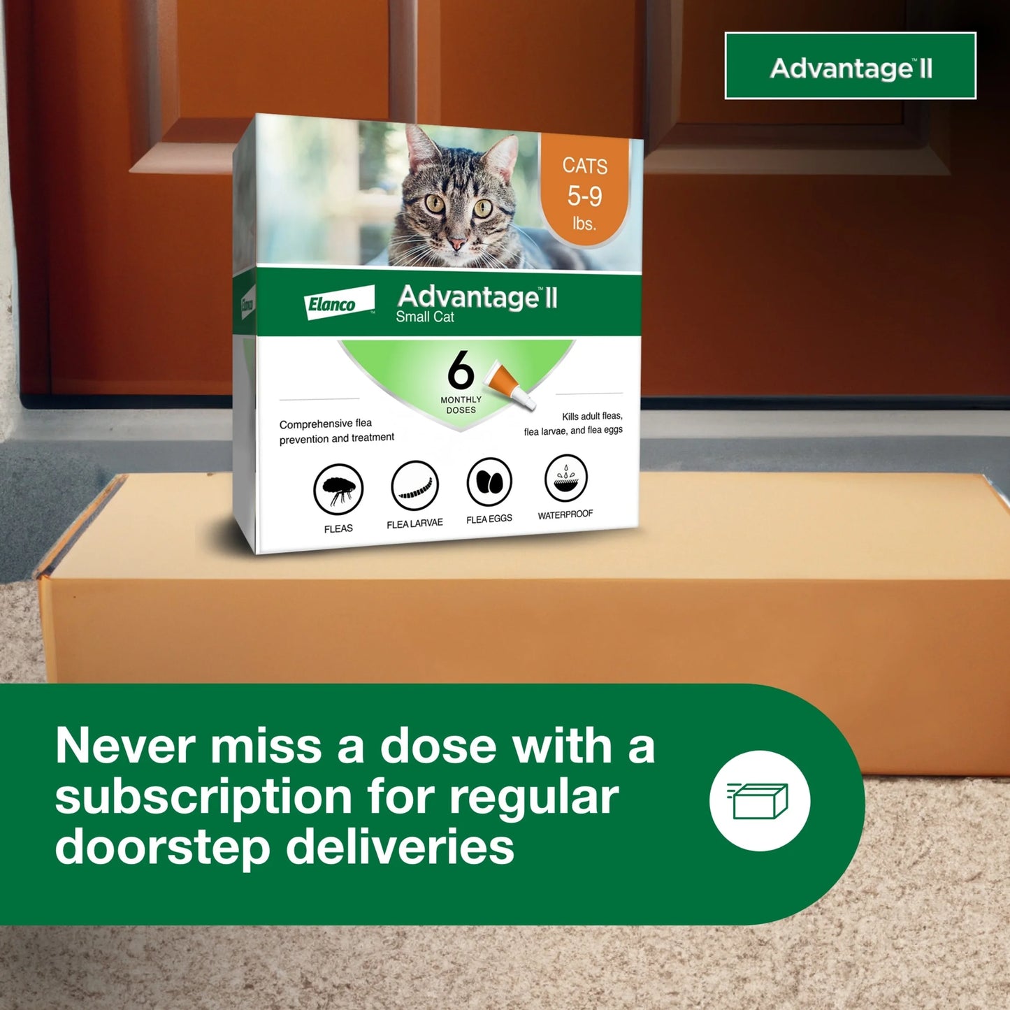 (2 Pack)  Vet-Recommended Flea Prevention for Small Cats 5-9 Lbs, 6-Monthly Treatments
