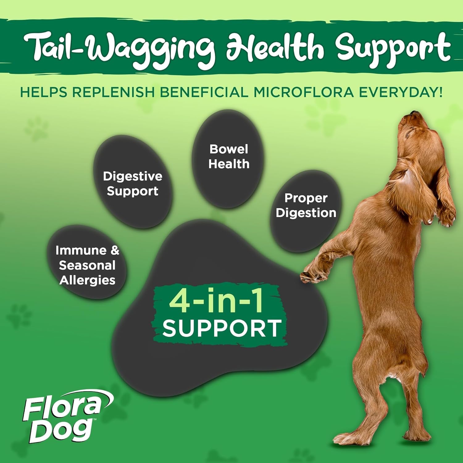 - Flora Dog Probiotic Chewable Tablets Supplement with 20 Billion Cultures and 10 Strains, High Potency Immune and Digestive Support Probiotics for Dogs, 30 Beef Flavored Chewable Tablets