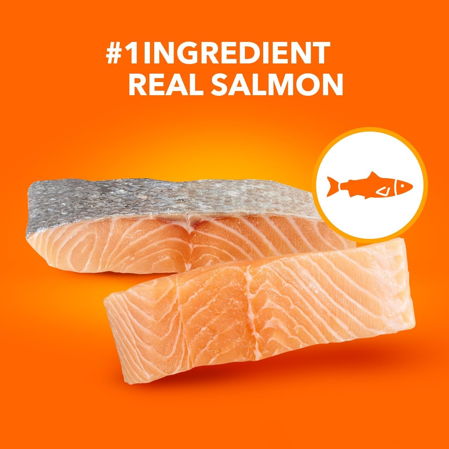 Proactive Health Adult Healthy Dry Cat Food with Real Salmon, 7 Lb. Bag
