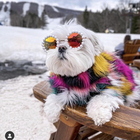 Pearl Dog Sunglasses for Costume Party Dog Accessories Glasses Eye-Wear UV Protection Pet Windproof Glasses (L,4.3")
