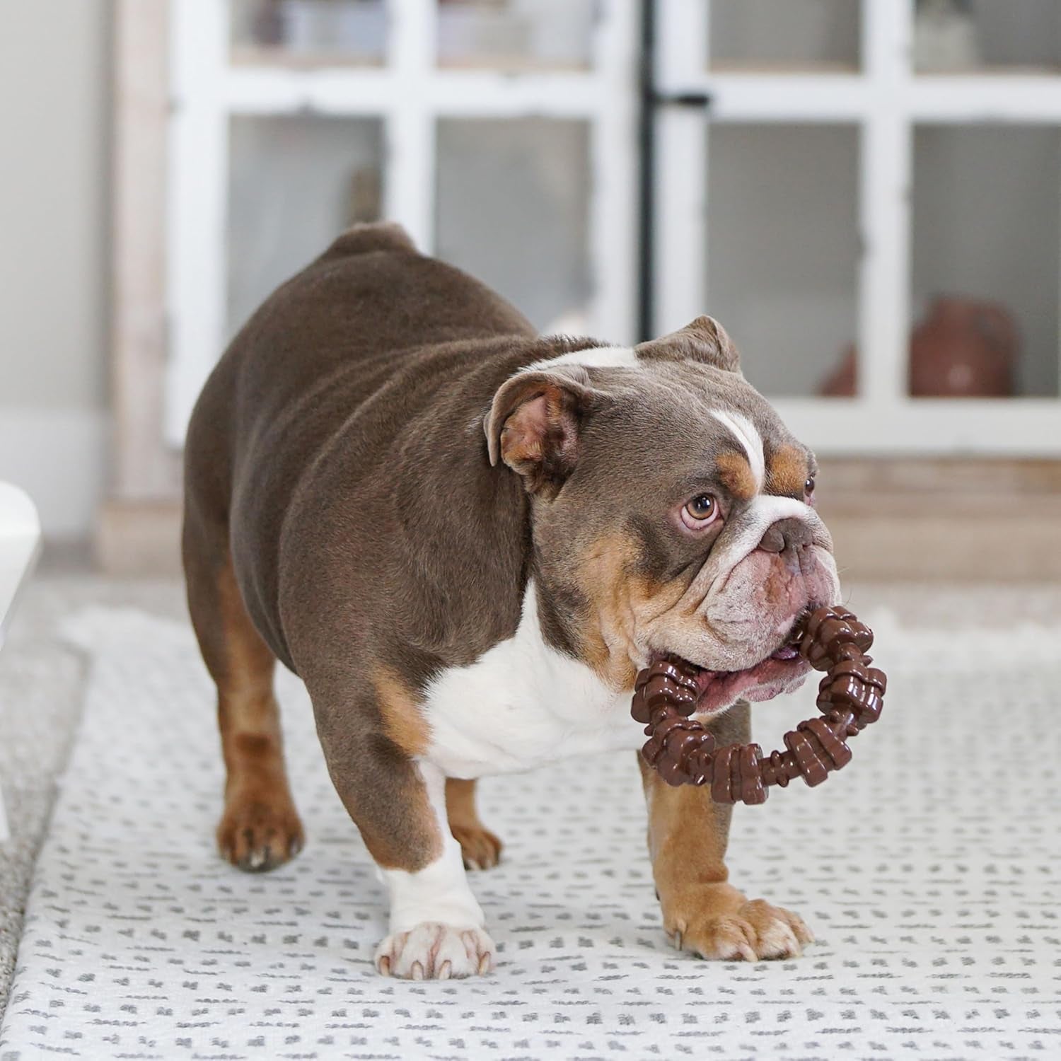 Customer Favorites Power Chew Toy Bundle for Dogs, Indestructible Dog Toys for Aggressive Chewers, Pack of 3 Dog Toys, Flavor Medley, Large Dogs - up to 50 Lbs, 3 Pack