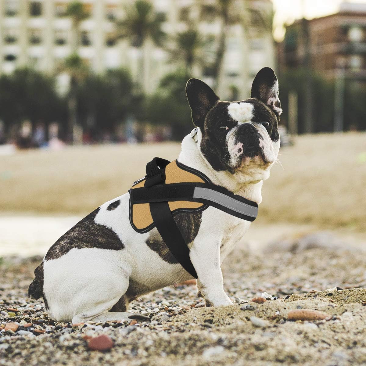 Dog Harness, No-Pull Reflective Dog Vest, Breathable Adjustable Pet Harness with Handle for Outdoor Walking - No More Pulling, Tugging or Choking ( Army Yellow, M )