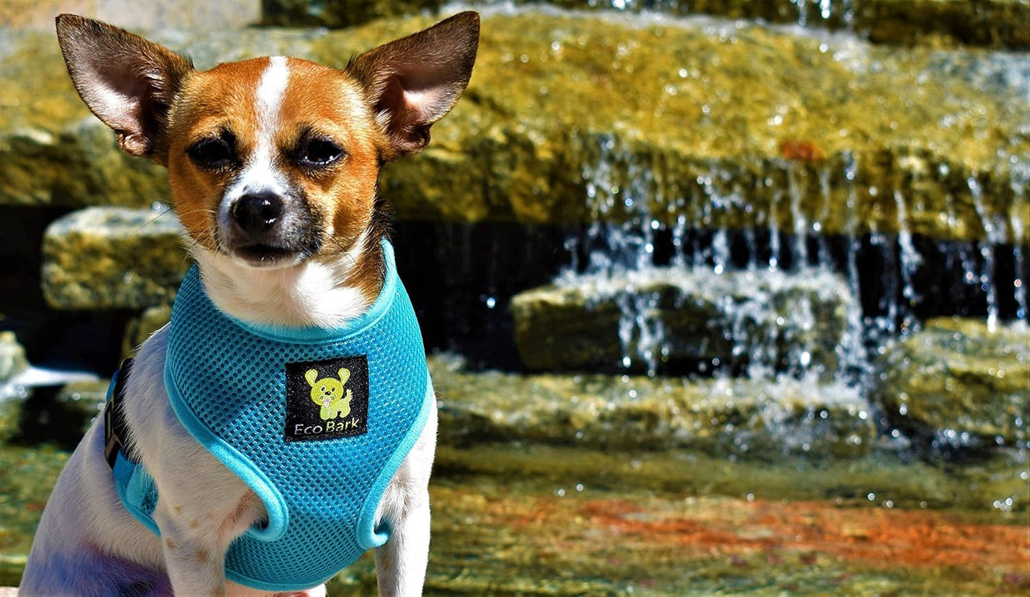 Blue Dog Harness - Eco-Friendly Max Comfort Harnesses - Luxurious Soft Mesh Halter - over the Head Harness Vest- No Pull and No Choke