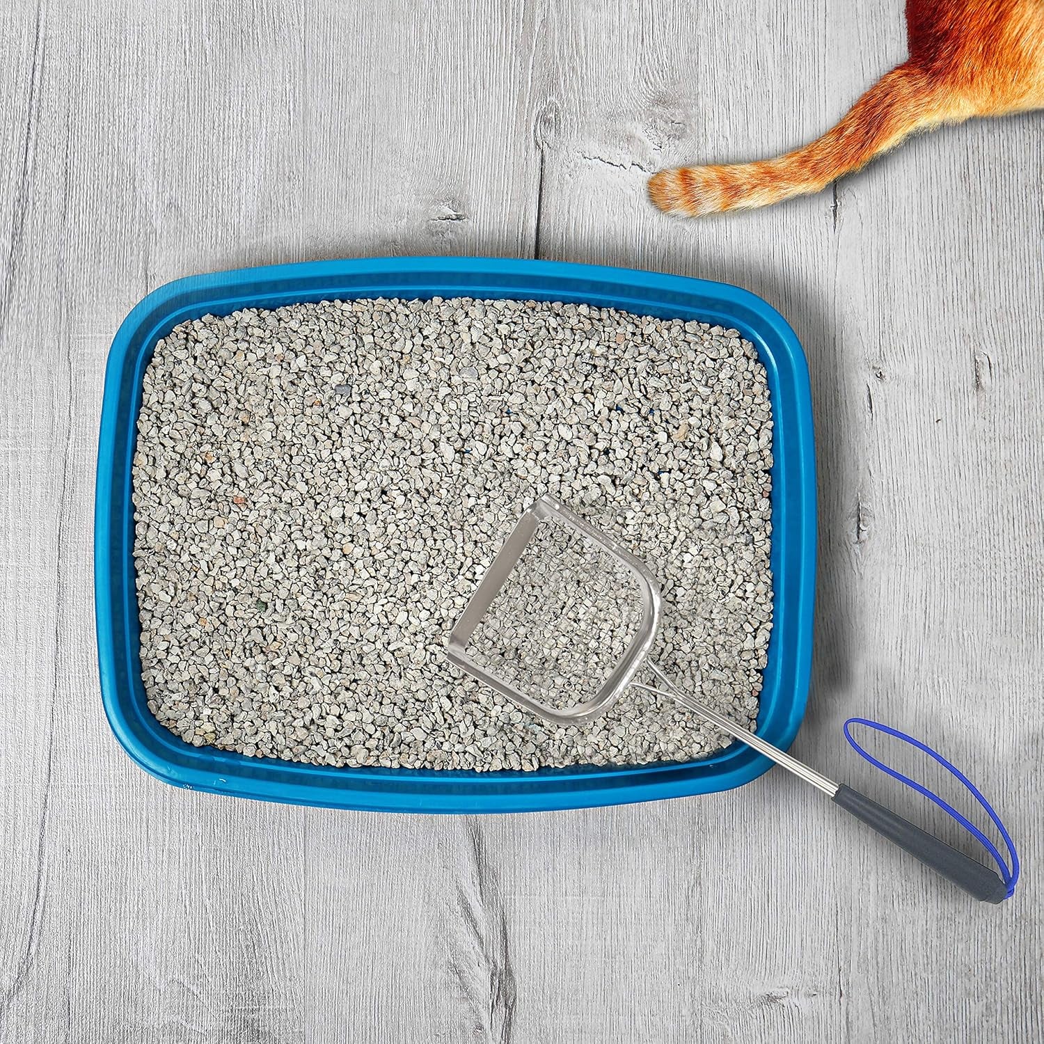 Metal Cat Litter Scoop – Long Handle Cat Poop Scooper for Litter Box (15”), Heavy-Duty Stainless Steel Kitty Litter Scoop (Scoop)