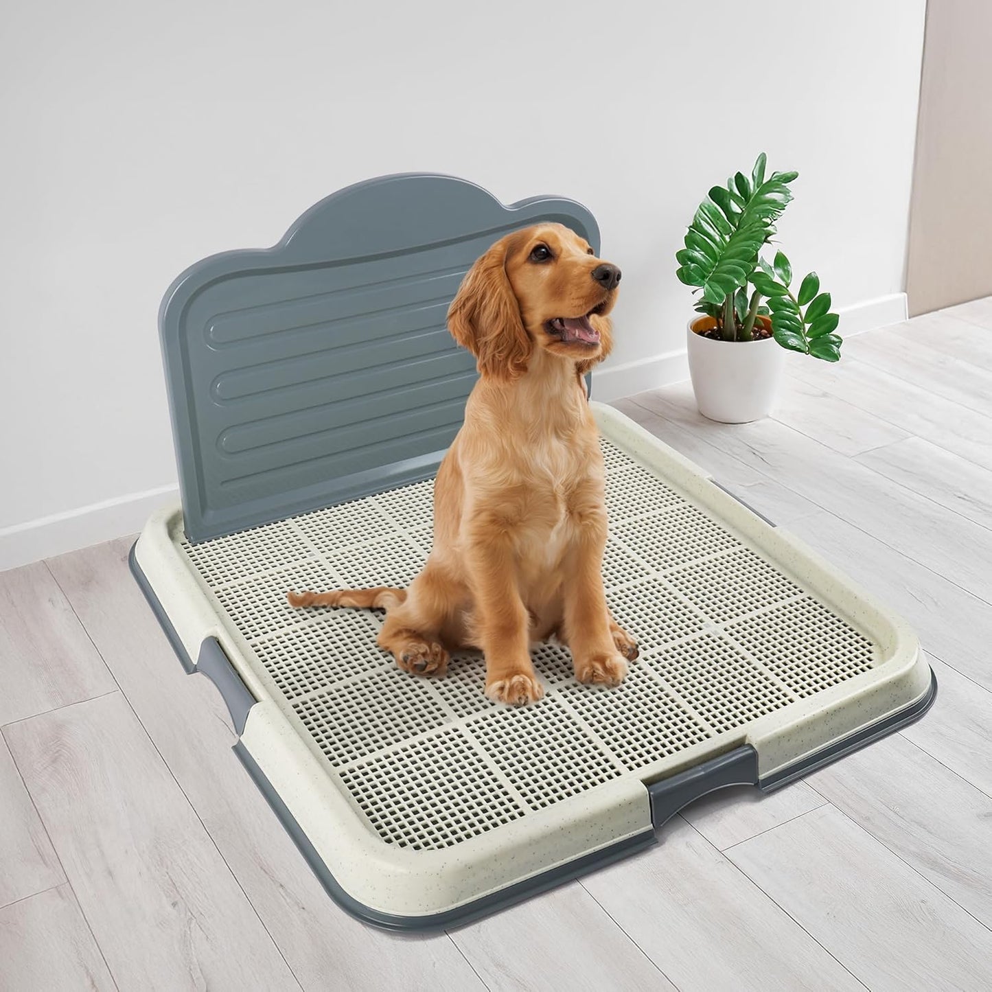 Dog Pee Pad Holder with High Wall, Large Puppy Potty Training Tray with Mesh Grid & Splash Guard, 23.6” X 23.6” Indoor Dog Litter Box, Includes 4 Disposable Pee Pads
