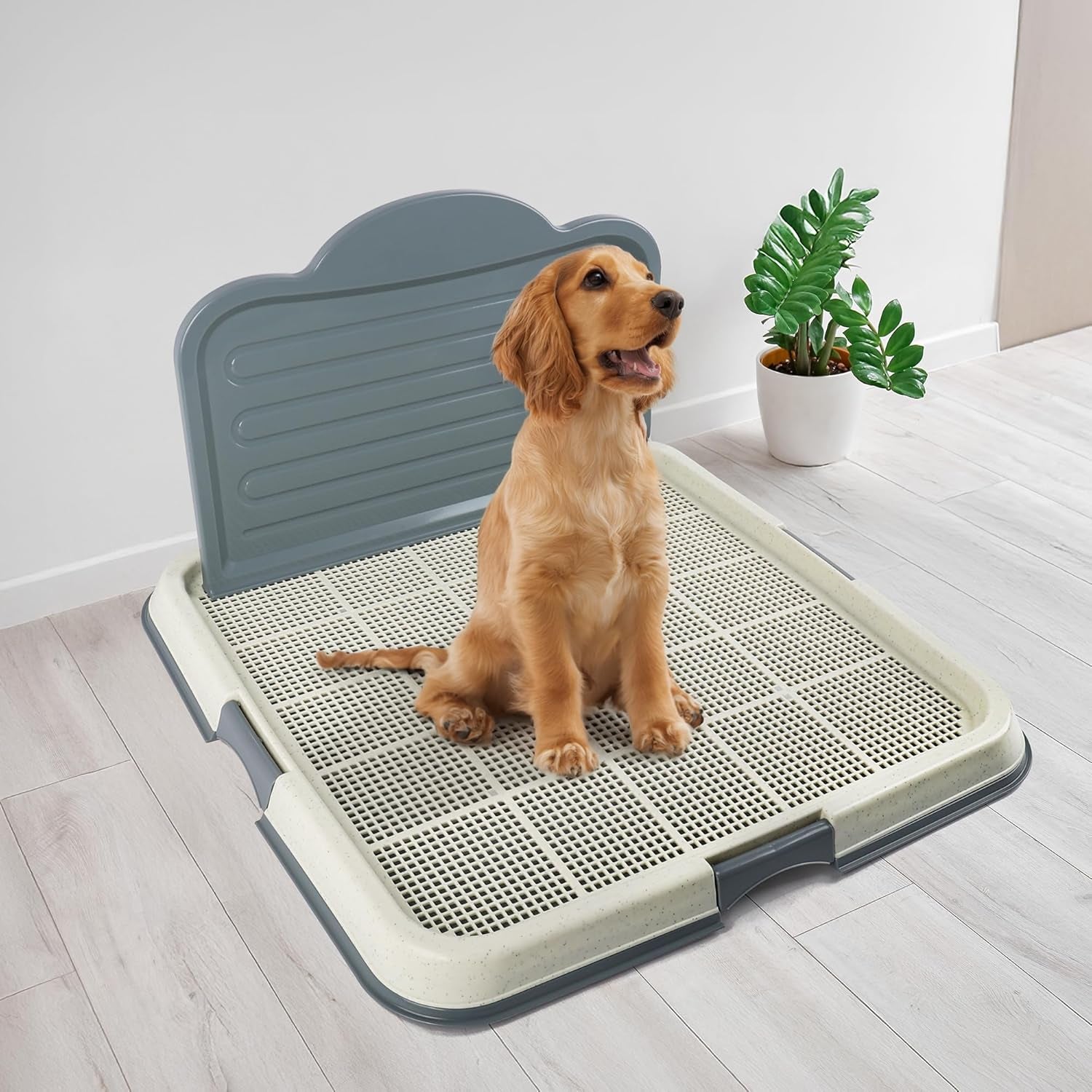 Dog Pee Pad Holder with High Wall, Large Puppy Potty Training Tray with Mesh Grid & Splash Guard, 23.6” X 23.6” Indoor Dog Litter Box, Includes 4 Disposable Pee Pads
