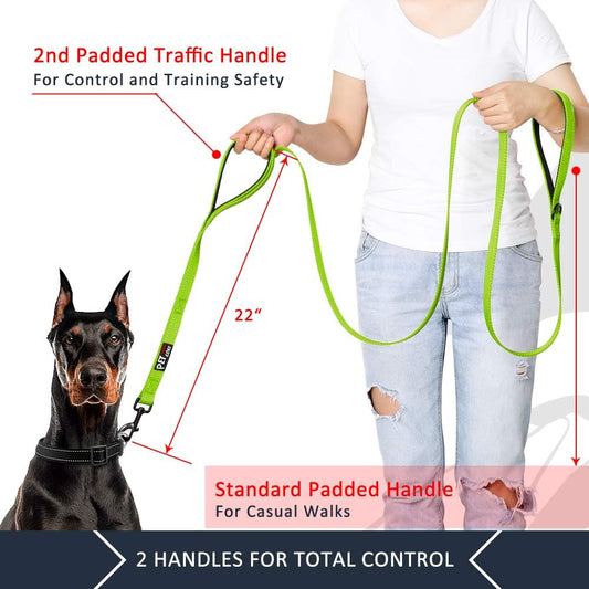 Double Handle Dog Leash 6Ft Long, Padded 2 Handle, Heavy Duty, Reflective Training Leash for Medium Large Dogs, Dual Handle Lead (Green)