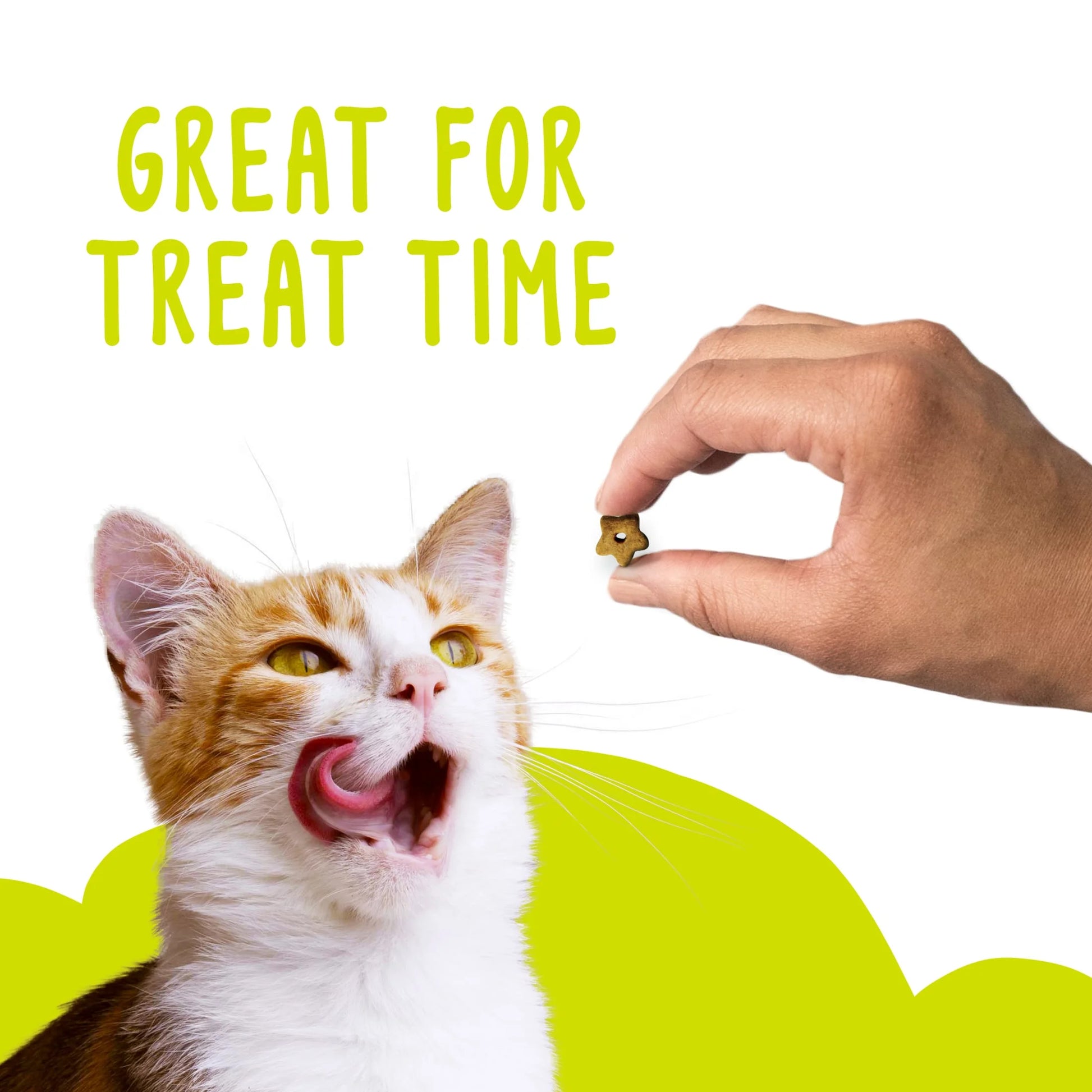 (2 Pack)   Party Mix Cat Treats, Original Crunch Snacks, 30 Oz. Canister