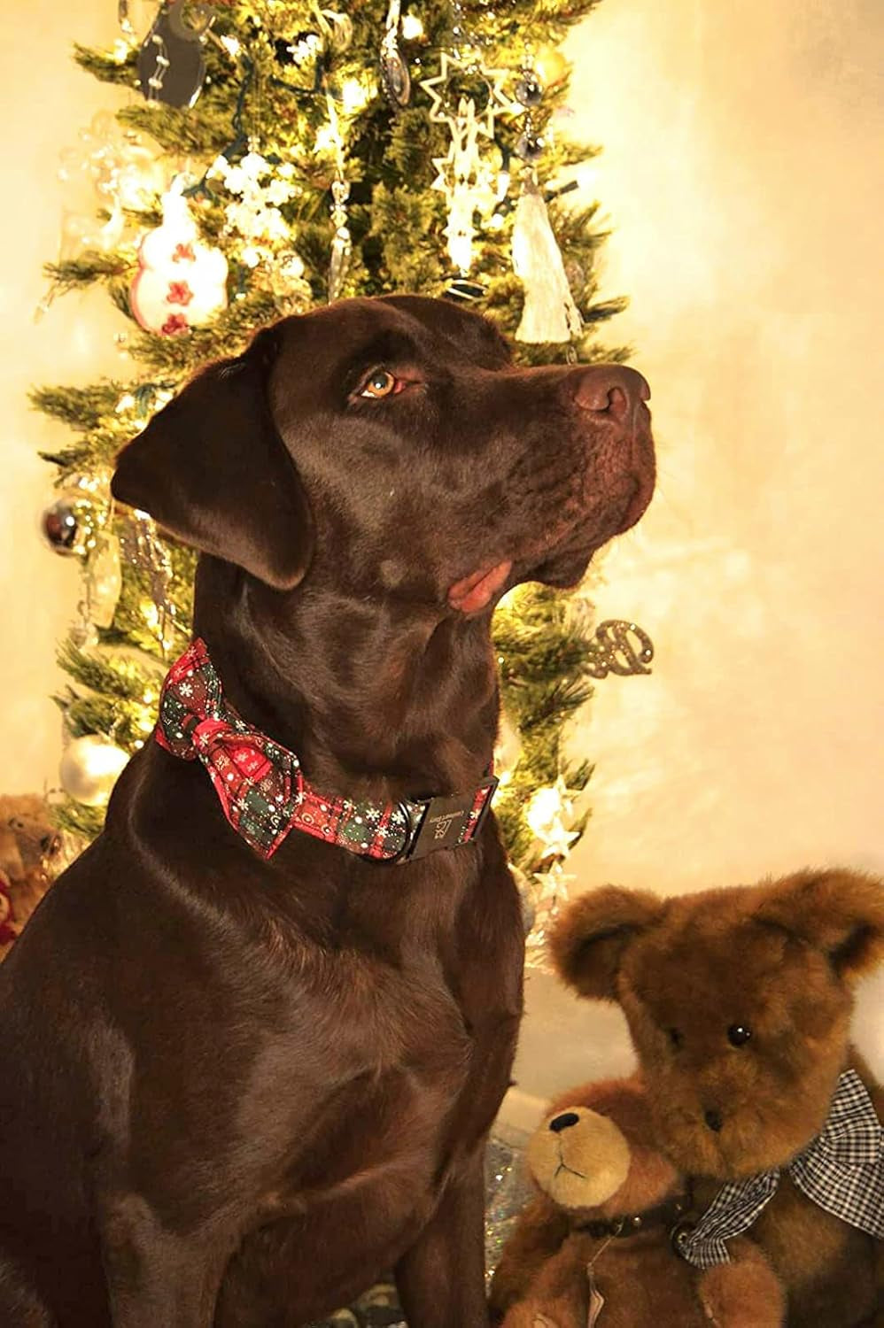 Christmas Plaid Dog Collar Adjustable Soft Dog Collar with Bowtie, Pet Gift Dog Collars Bow for Small Medium Large Dogs