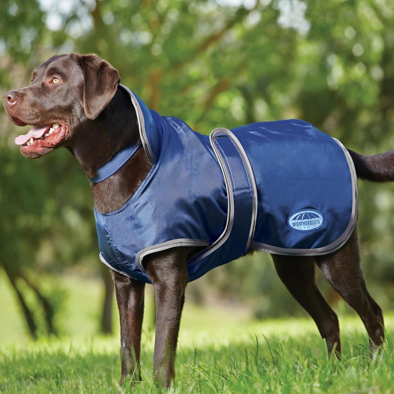 Comfitec Windbreaker 420D Deluxe Dog Coat, Navy/Grey, 30"