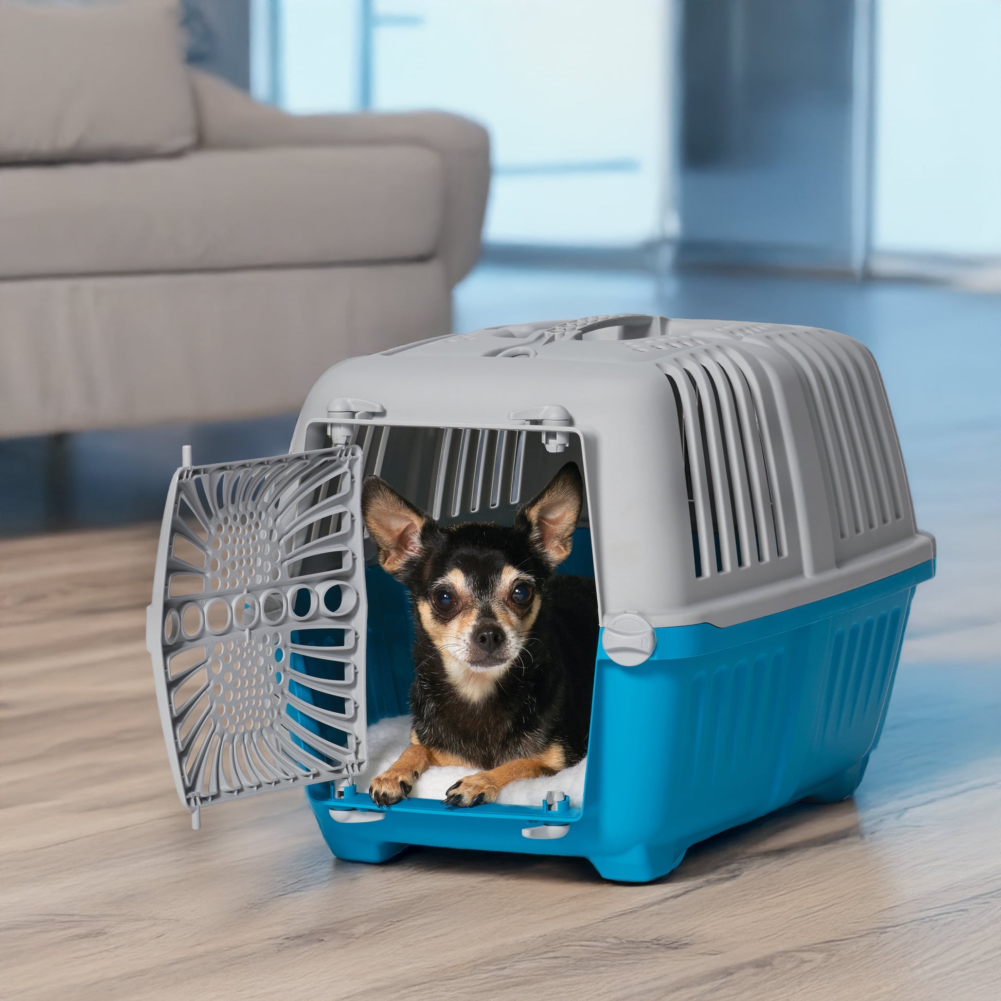 19 Inch Spree Travel Pet Carrier for Dog or Cat with Plastic Door, Blue