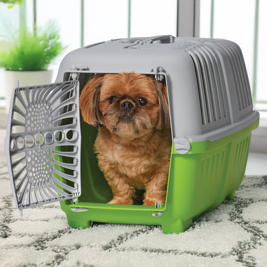 22 Inch Spree Travel Pet Carrier for Dog or Cat with Plastic Door, Green