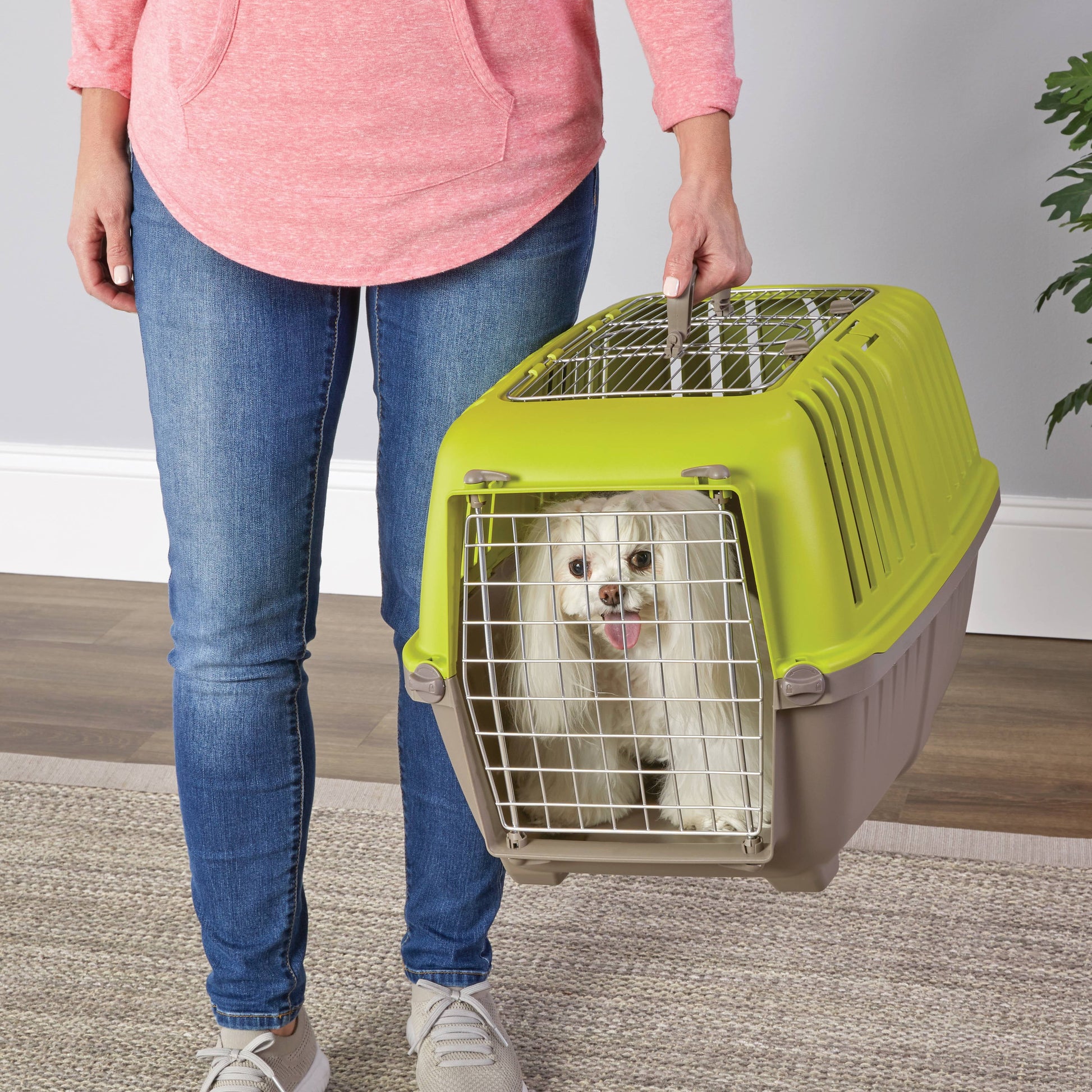 24 Inch Top Door Spree Travel Pet Carrier for Dog/Cat with Steel Door, Green