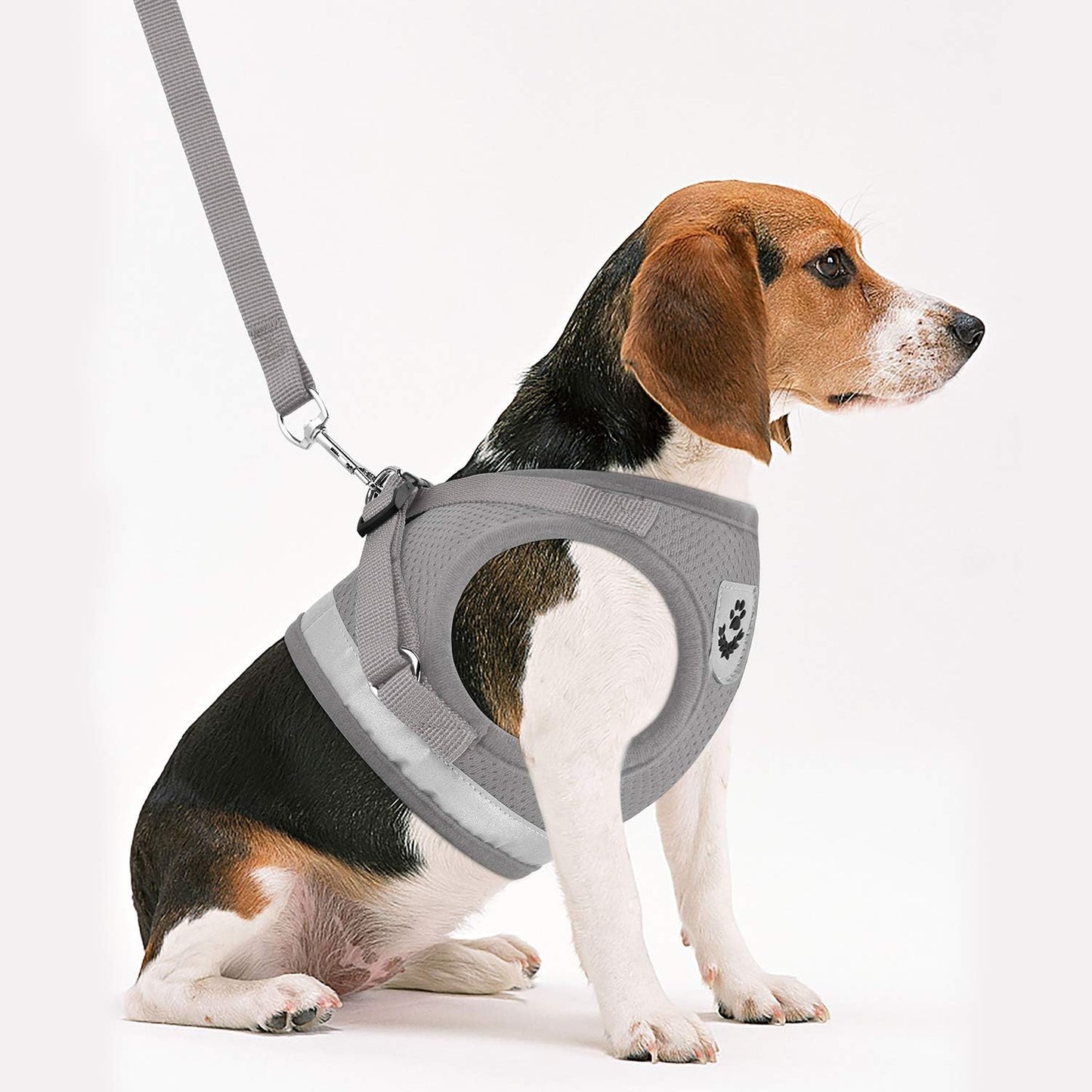 Cat Harnesses and Puppy Harness with Leashes Set, Escape Proof Cat Harness, Adjustable Reflective Soft Mesh Vest Fit Puppy Kitten Rabbit Ferrets'S Outdoor Harness
