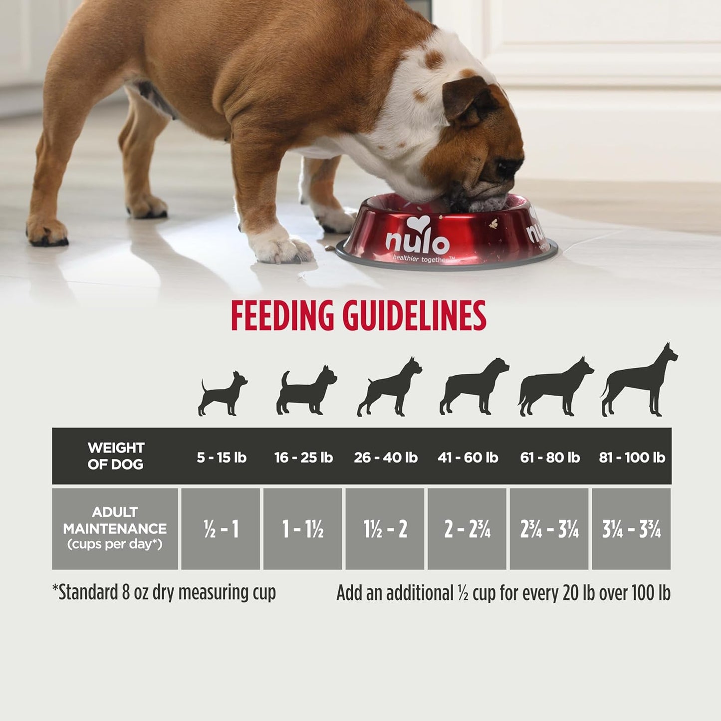 Frontrunner Ancient Grains High-Protein Dog Food, Pork, Barley, & Beef Recipe- Natural Dry Dog Food with Probiotics, Grain-Inclusive Kibble for Adult Dogs, 25 Lb Bag