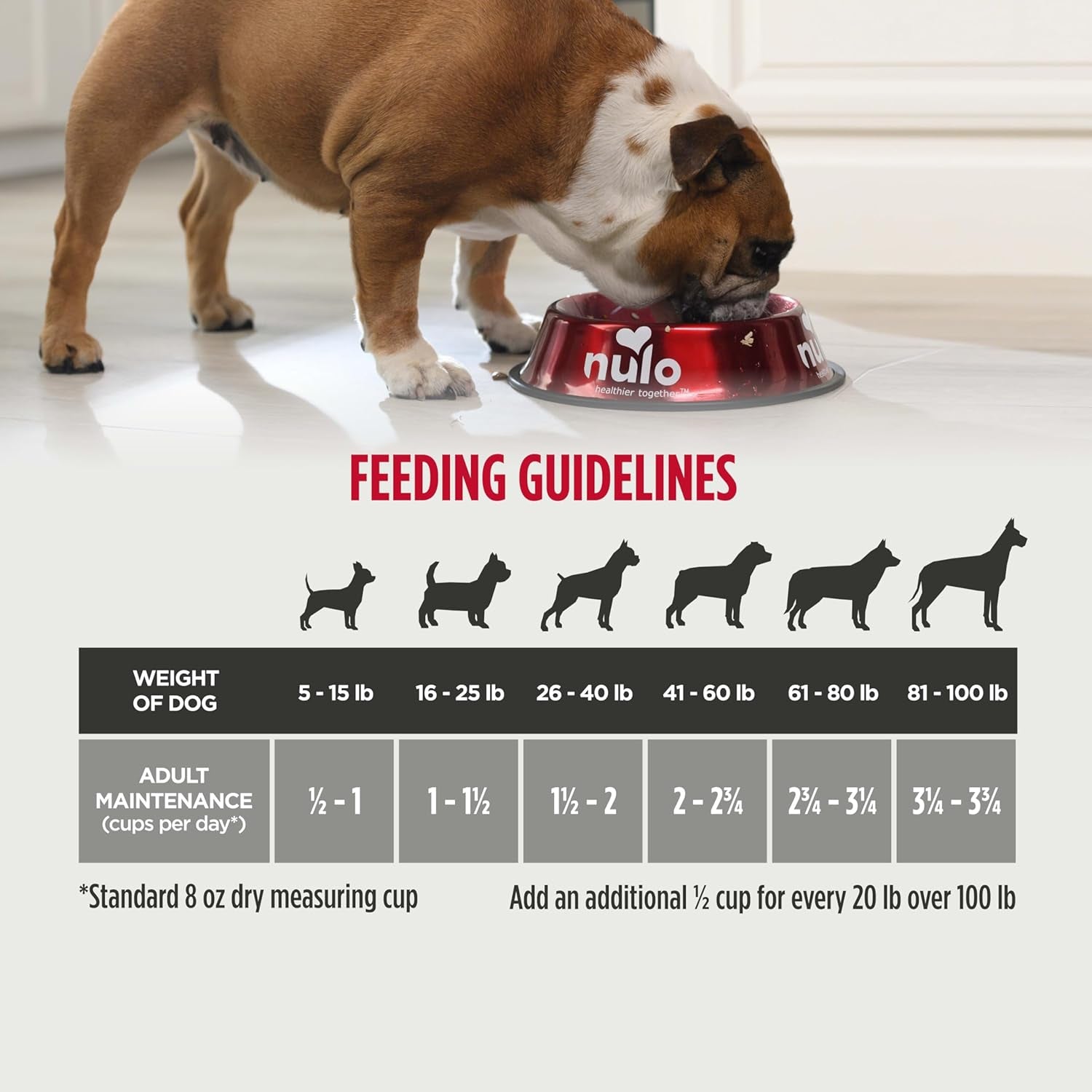 Frontrunner Ancient Grains High-Protein Dog Food, Pork, Barley, & Beef Recipe- Natural Dry Dog Food with Probiotics, Grain-Inclusive Kibble for Adult Dogs, 25 Lb Bag