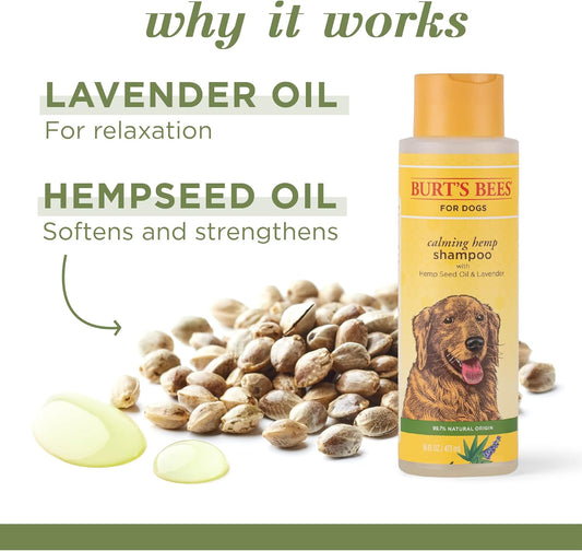Calming Dog Shampoo with Hemp Seed Oil and Lavender, 95% Natural Origin Formulas, Soothing Lavender Shampoo for Dogs - Gentle Dog Wash 16 Oz
