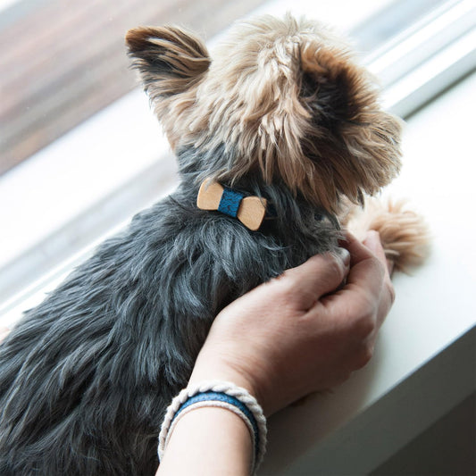 Adjustable Dog Bow Tie Collar with Matching Owner Friendship Bracelet – Stylish & Durable Pet Accessory, Soft Hemp & Cotton, Secure D-Ring, Gift-Ready Set, XS, Blue