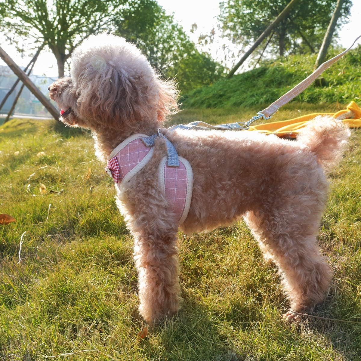 Puppy Harness Easy to Put on & Take off Step in Dog Harness, Puppy Soft Padded Mesh Front Vest with Leash, Adjustable Pets No-Pull Walking Harness with Cute Bows for Small Dogs and Cats