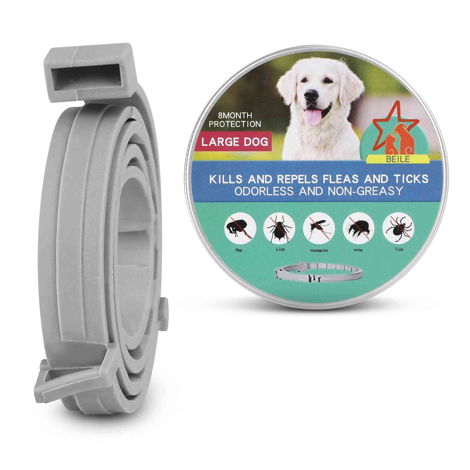 Collar for German Wirehaired Pointer and Other Large Size Sporting Dogs. Waterproof & Adjustable.