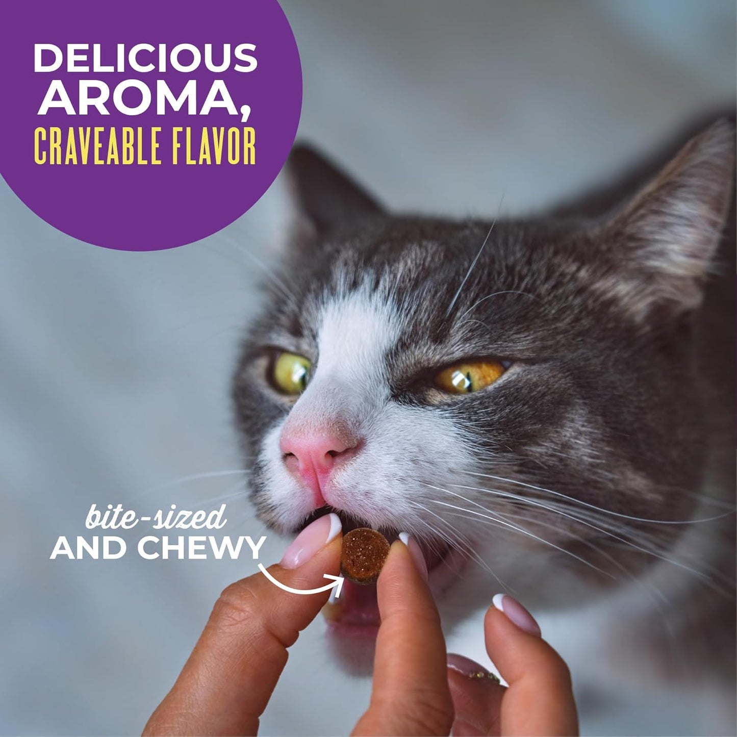 Tiki Cat Soft & Chewy Treats, Chicken Flavor, 3 Calories per Treat with Grain-Free and No Added Gluten, 2 Oz Pouch (Pack of 1)
