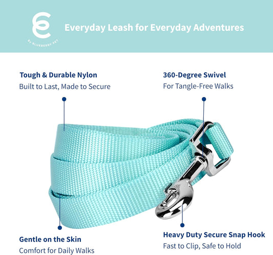 Essentials Mint Blue Dog Leash for Small -5' * 5/8" Dogs | Heavy Duty Nylon Lead | Lightweight Puppy & Cat Leash for Walking & Training