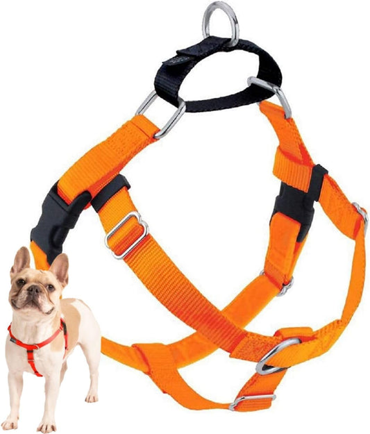 Freedom No Pull Dog Harness, Adjustable Harness, Easy Walking & Comfortable Control, Fits Small, Medium & Large Dogs, Solid Colors, Made in USA, 5/8" SM, Neon Organge