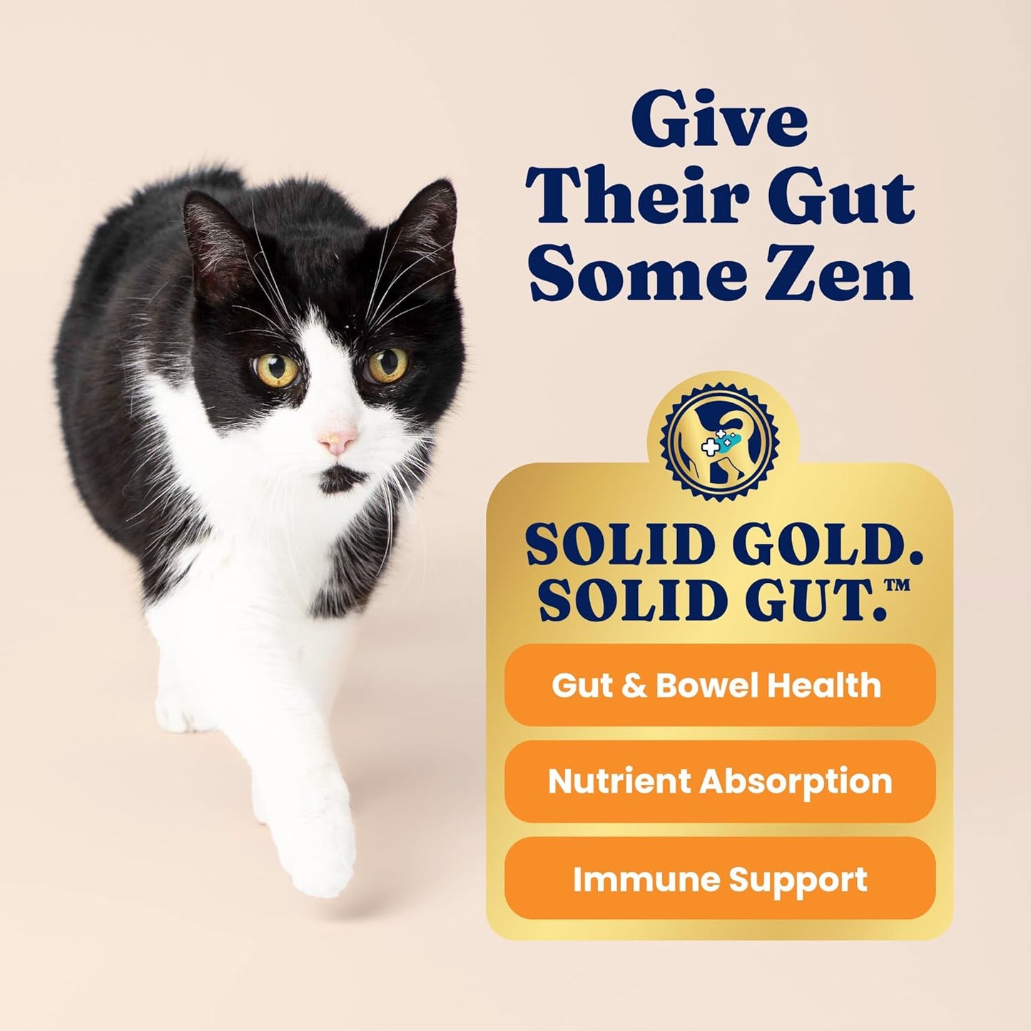 High Protein Dry Cat Food - Grain Free & Gluten Free Chicken Cat Dry Food W/Probiotics for Gut Health & Digestion - High Fiber & Omega 3 - Low Carb Superfood Kibble for Cats All Ages - 3LB