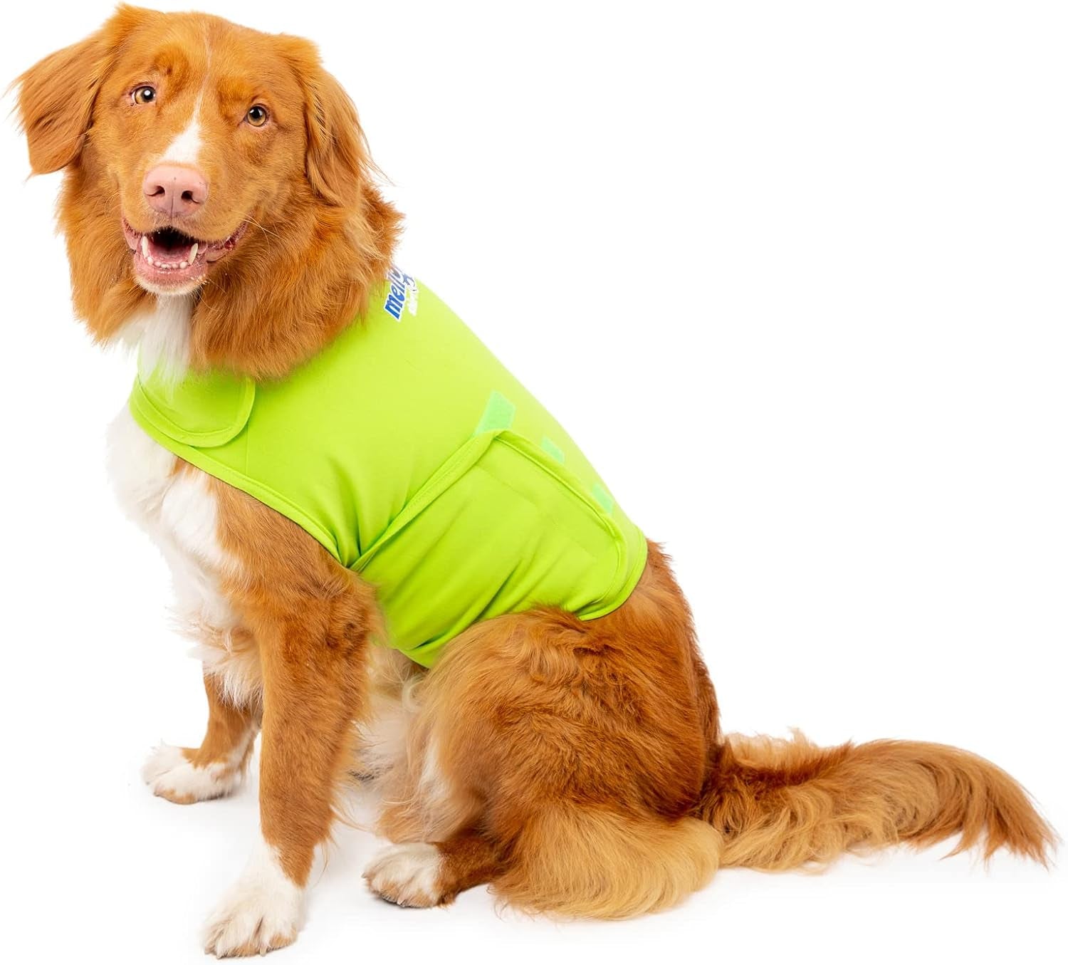 Dog Anxiety Calming Wrap, Small, Lime