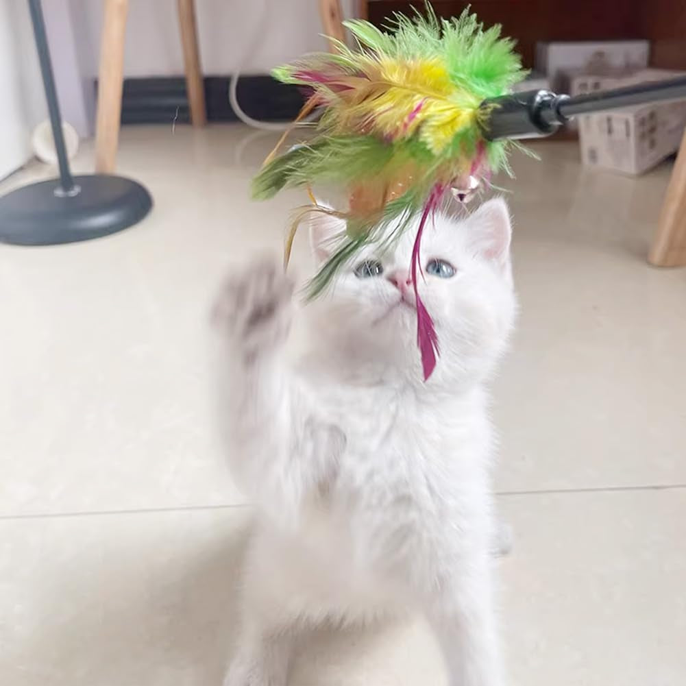 Cat Wands, 6 PCS Natural Feather Stick Interactive Kitten Toys with Bell Safe Cat Teaser Wand for Indoor, All Breed Sizes
