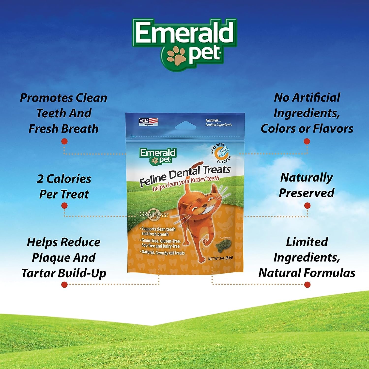 Feline Dental Treats — Tasty and Crunchy Cat Dental Treats Grain Free — Natural Dental Treats to Clean Cat Teeth, Freshen Cat Breath, and Reduce Plaque and Tartar Buildup — Chicken Treats, 3 Oz