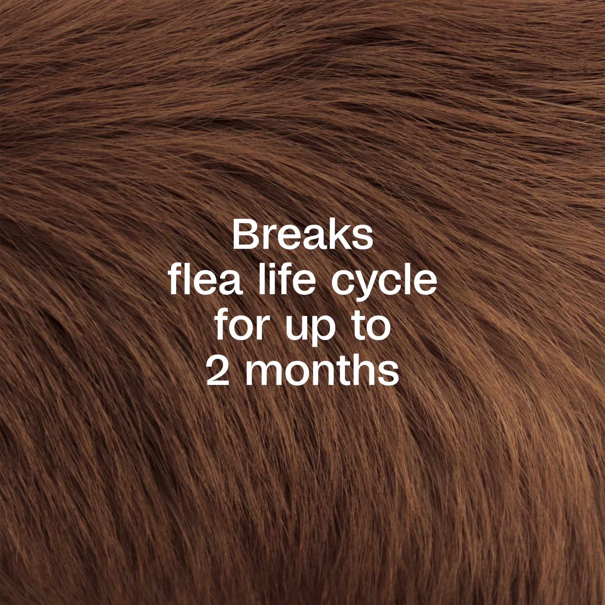 Flea & Tick Dog and Cat Spray, Kills Fleas and Ticks, Breaks the Flea Life Cycle for up to 2 Months, 16 Fl Oz