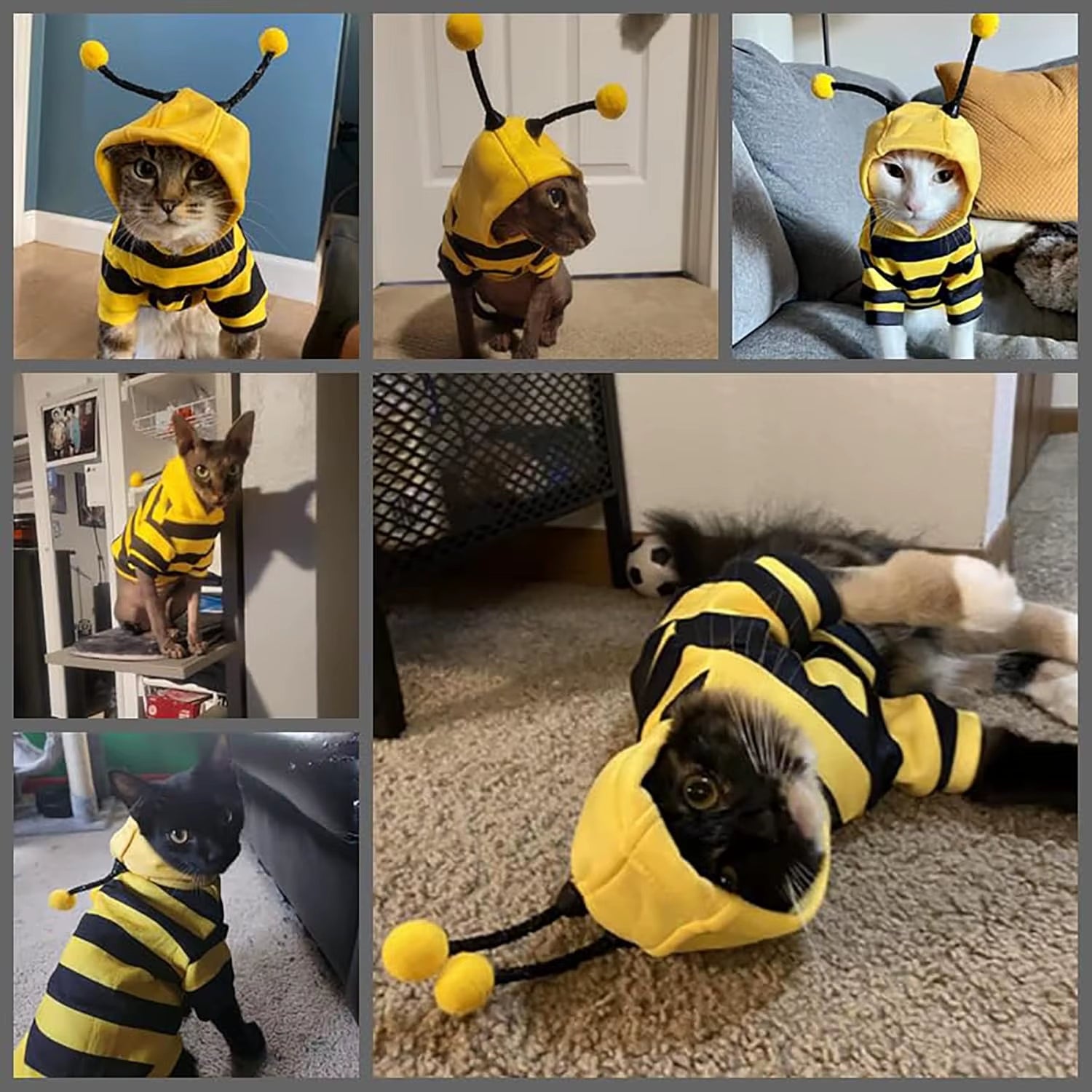 Funny Pet Bee Costumes Cat Clothes Stripe Hooded Cat Hoodies for Cats Kitten, Easter Halloween Dress up Party