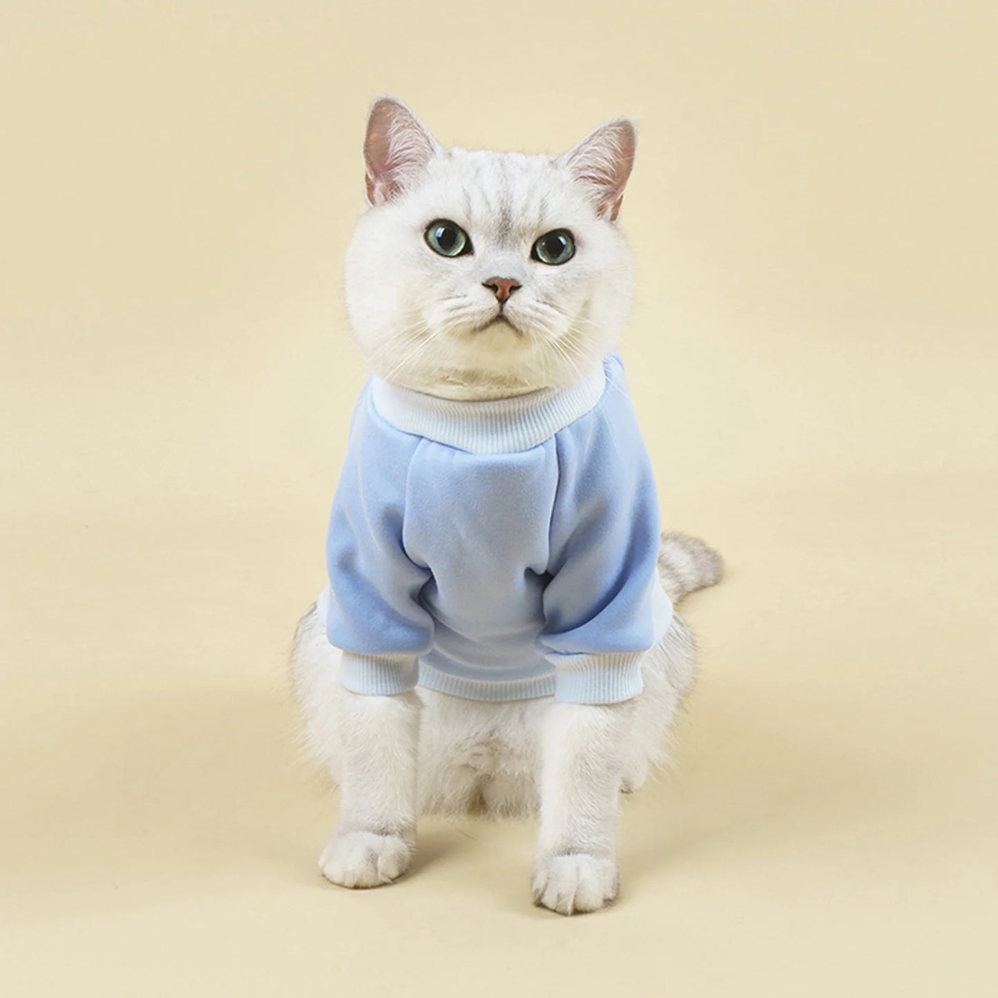 Dog Sweaters for Small Dogs, Cute Dog Clothes Classic Warm Pet Sweaters for Dogs Girls Boys, Cat Sweater Dog Sweatshirt Winter Coat Apparel for Small Dog Puppy Kitten Cat(Blue, XL)