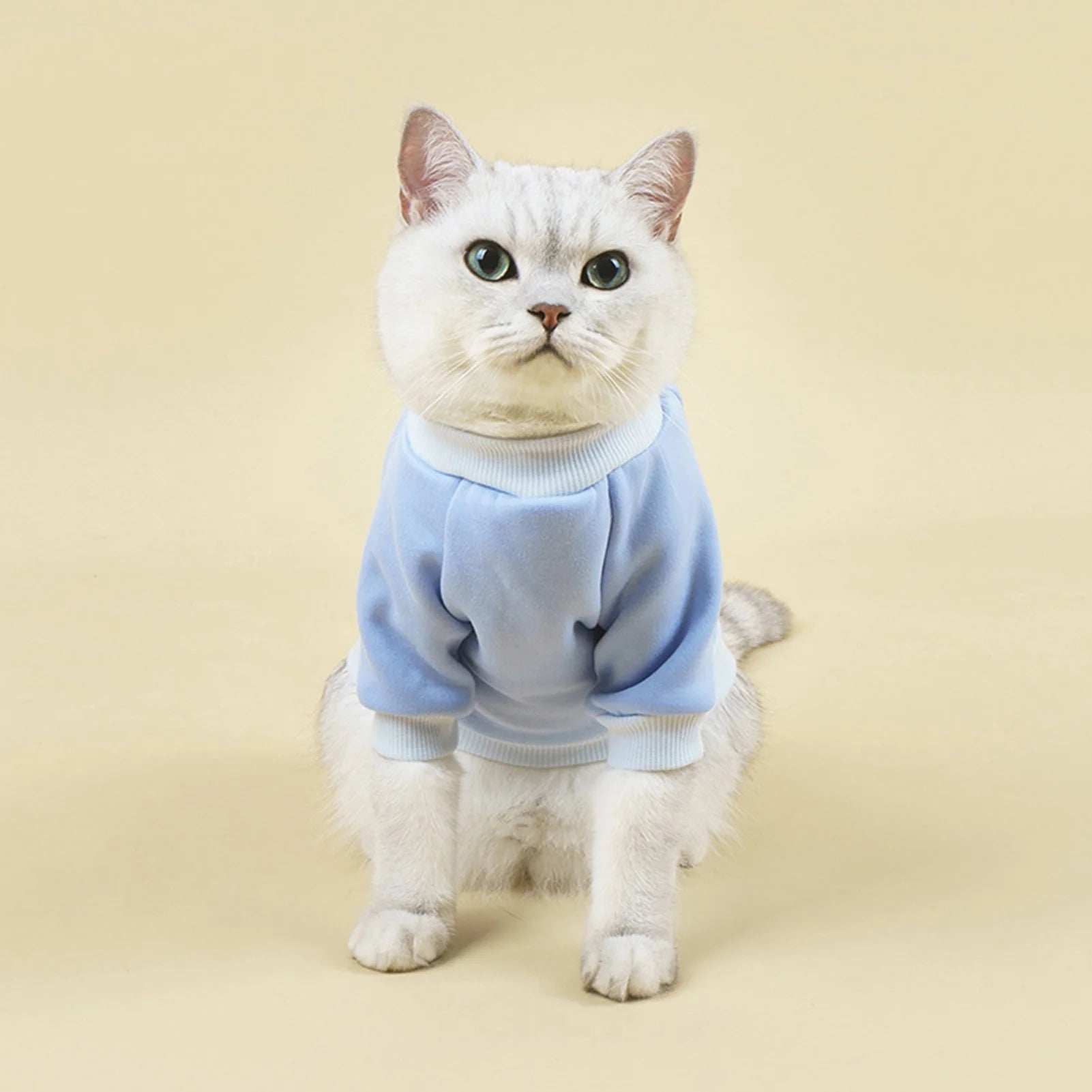 Dog Sweaters for Small Dogs, Cute Dog Clothes Classic Warm Pet Sweaters for Dogs Girls Boys, Cat Sweater Dog Sweatshirt Winter Coat Apparel for Small Dog Puppy Kitten Cat(Blue, XL)