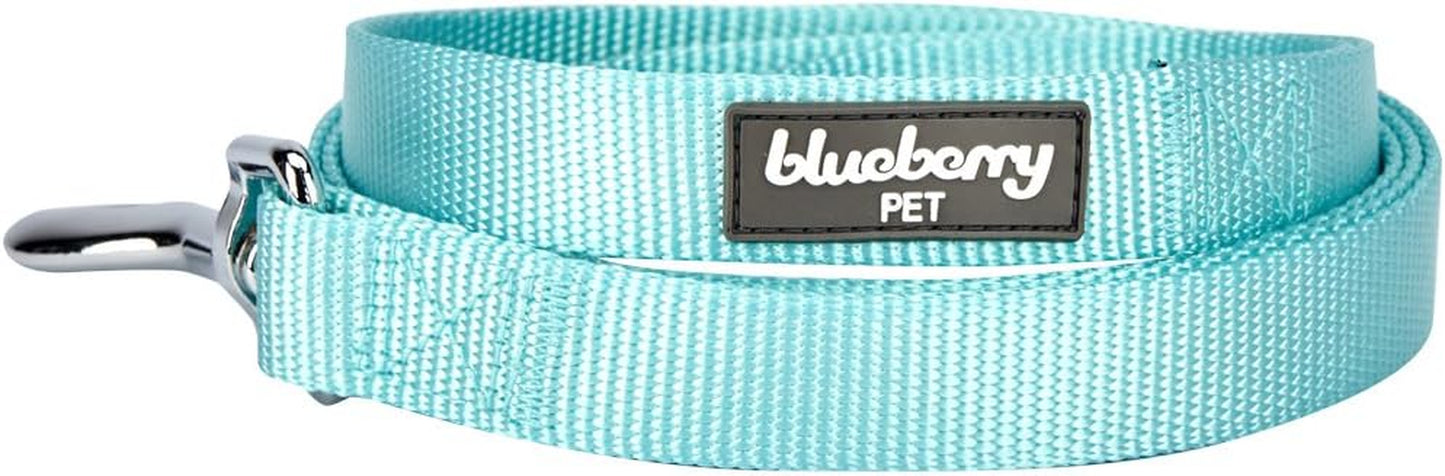 Essentials Mint Blue Dog Leash for Small -5' * 5/8" Dogs | Heavy Duty Nylon Lead | Lightweight Puppy & Cat Leash for Walking & Training